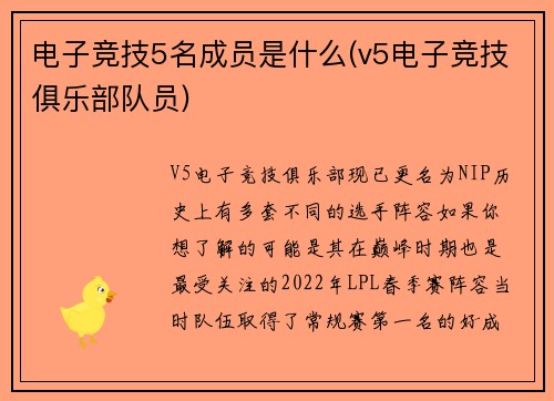 电子竞技5名成员是什么(v5电子竞技俱乐部队员)